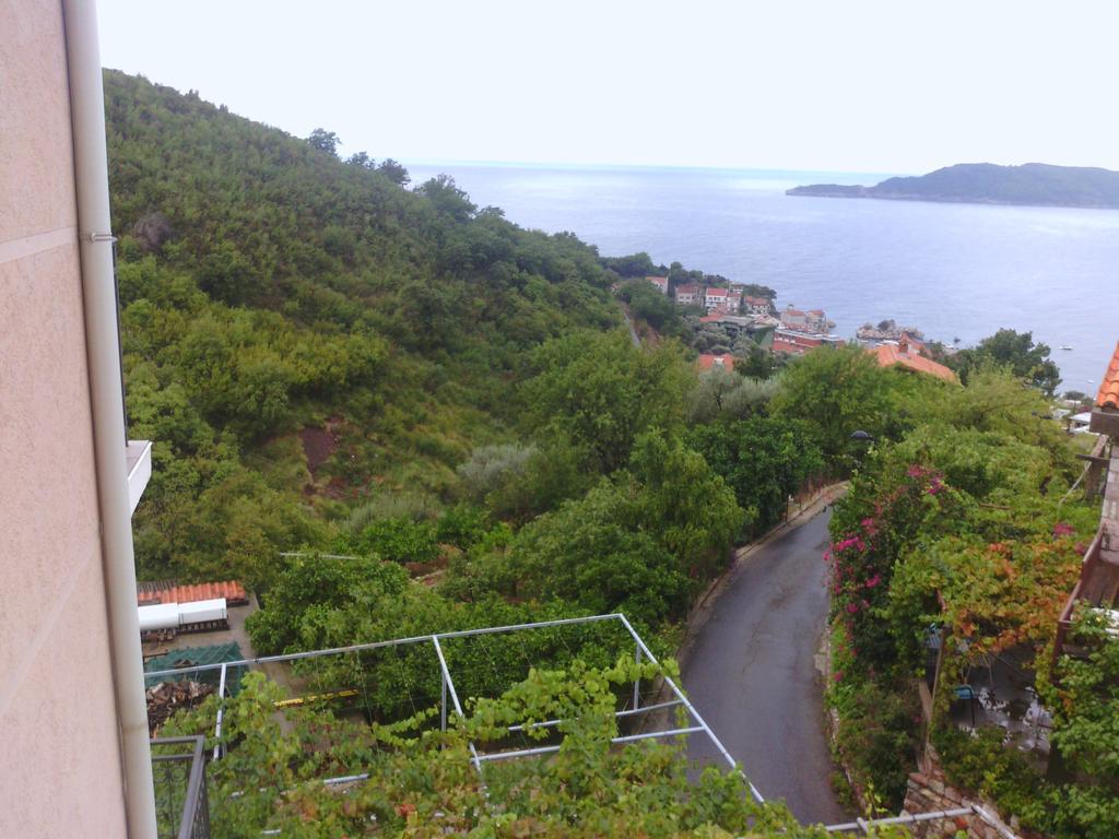 Apartments Mitrovic Podlicak Sveti Stefan Værelse billede