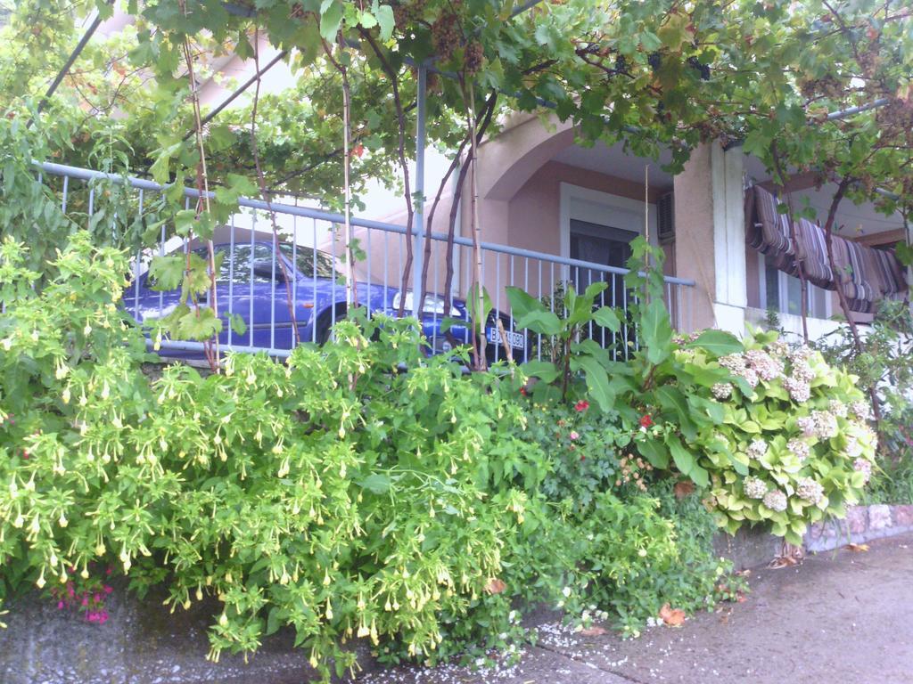 Apartments Mitrovic Podlicak Sveti Stefan Eksteriør billede